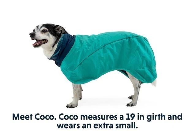 Dirtbag Dog Towel - Aurora Teal - Image 3