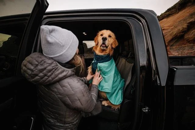 Dirtbag Dog Towel - Aurora Teal - Image 8