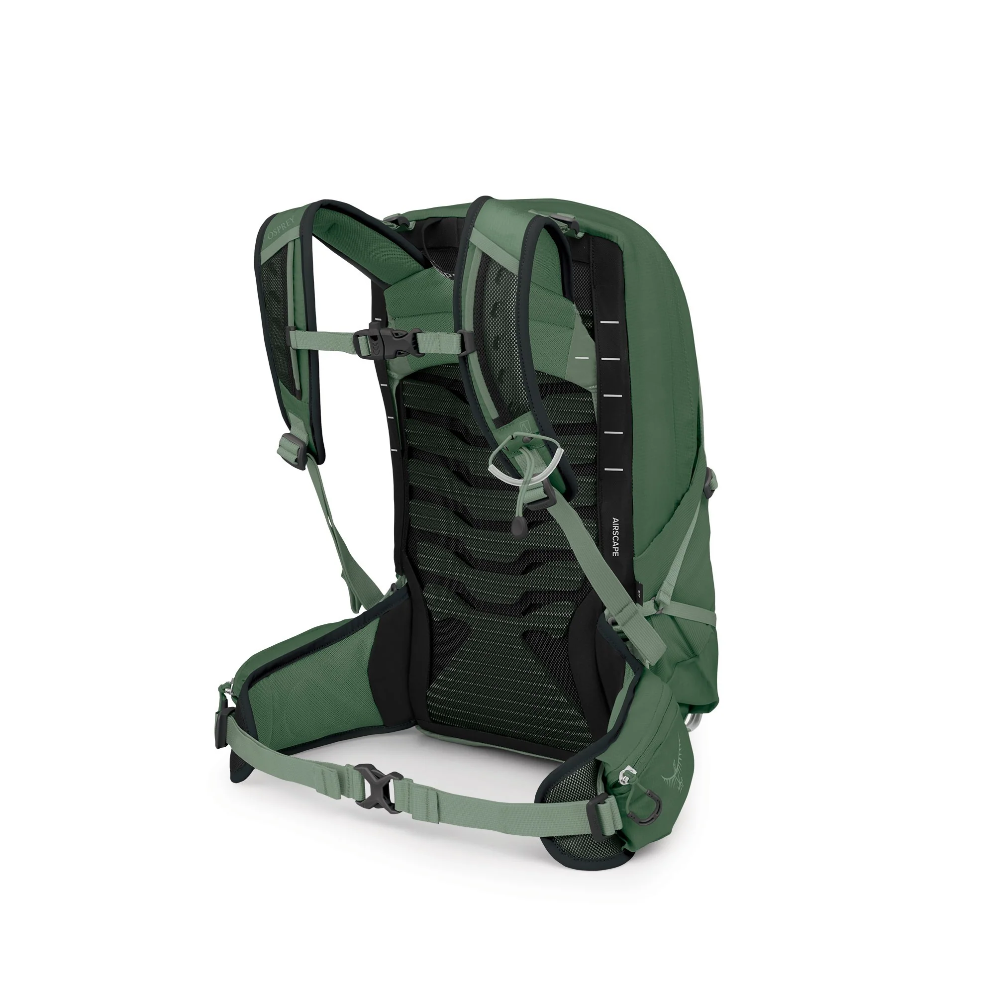 Talon 11 - Green Canopy Pine Leaf - Image 3