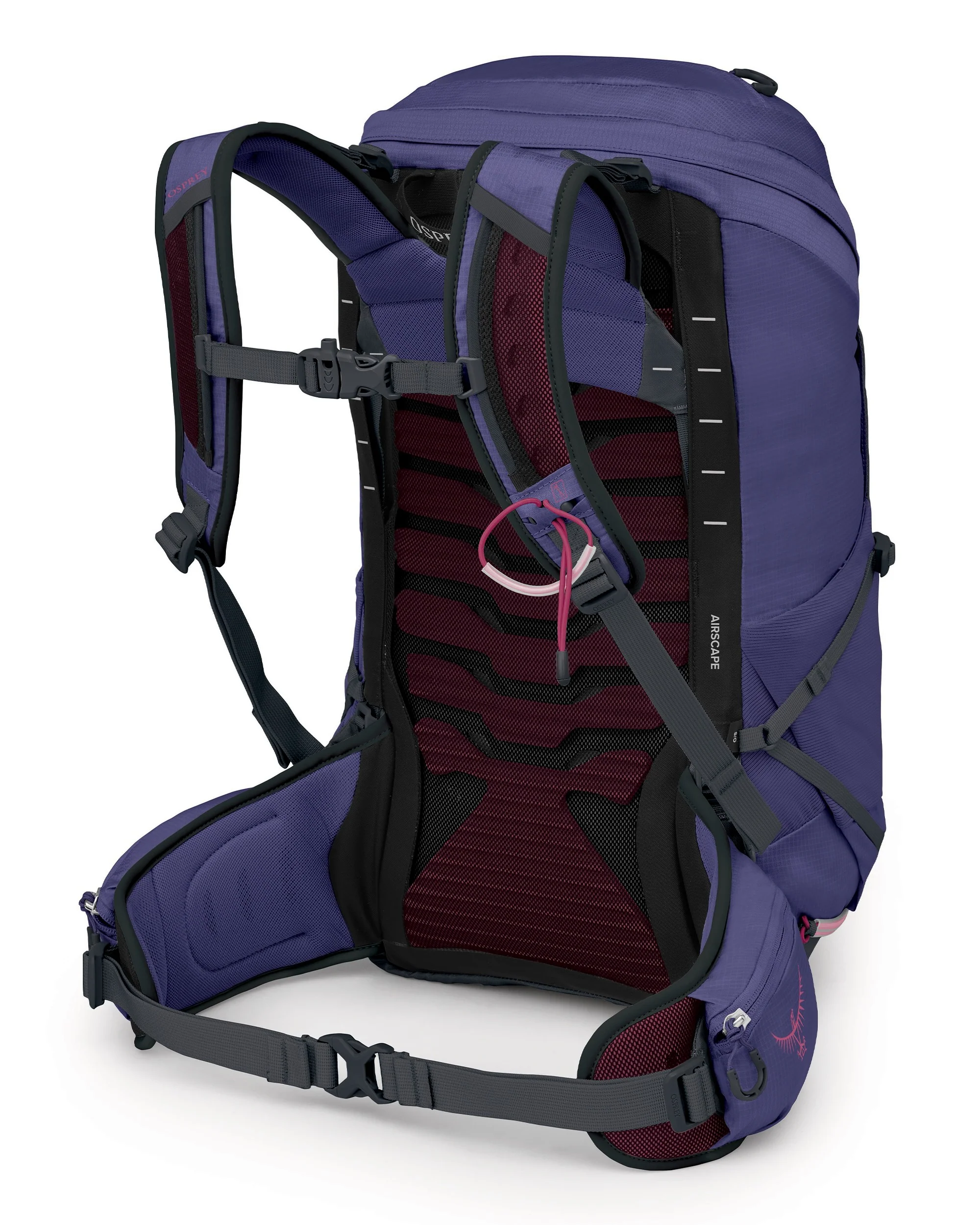 Tempest 26 - Deep Fig Hotspot Pink - Image 2