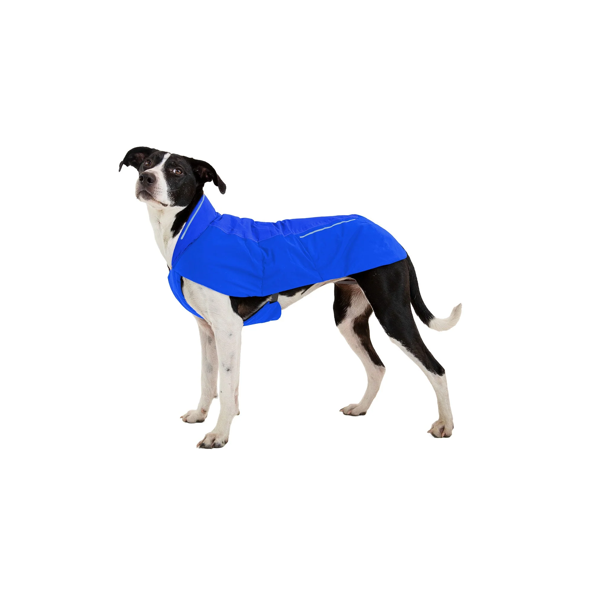 Vert Waterproof Jacket - Blue Pool - Image 5